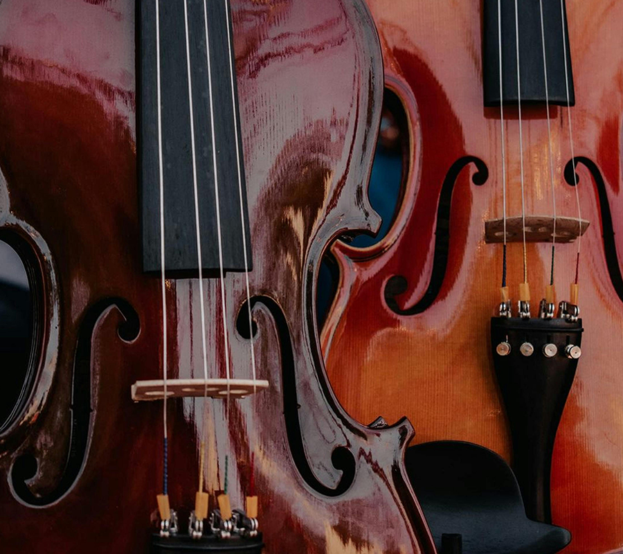 Stradivari vs Guarneri: Master Musicians Reveal the Truth