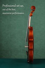 High-Quality Entry-Level Violin Set for Students, and Adults 4