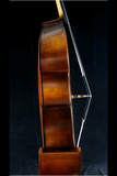 Fiddlerover Classic Bass DI1-4