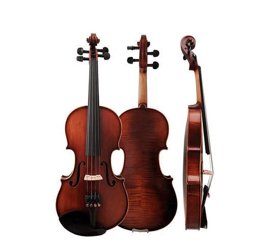 Good Student Violin Set Q002