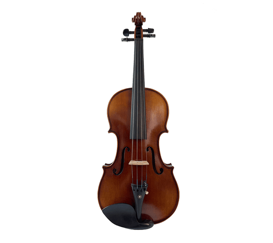 Fiddlover Advanced Violin Beginner Outfit L007