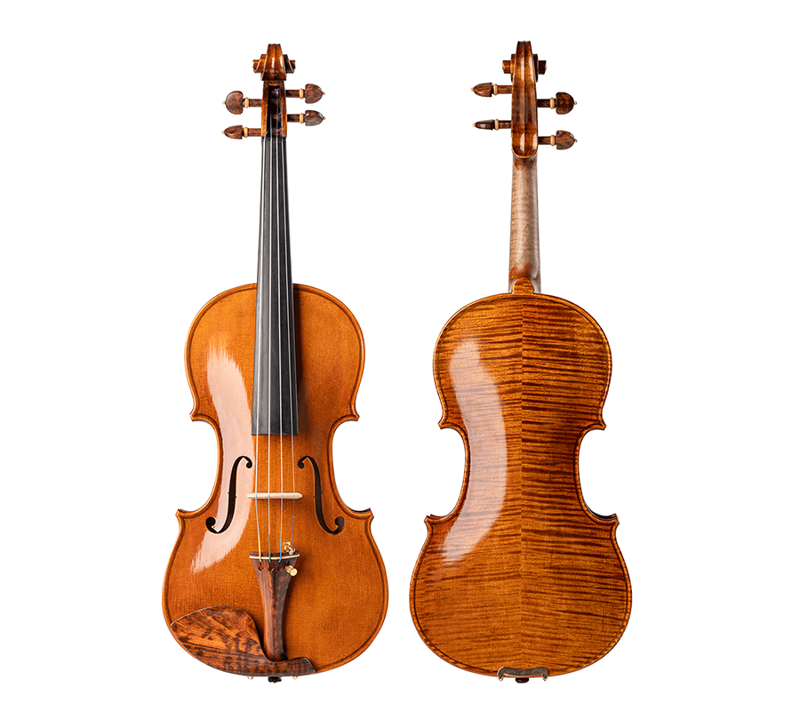 Beautiful Snakewood Intermediate Violin Q006