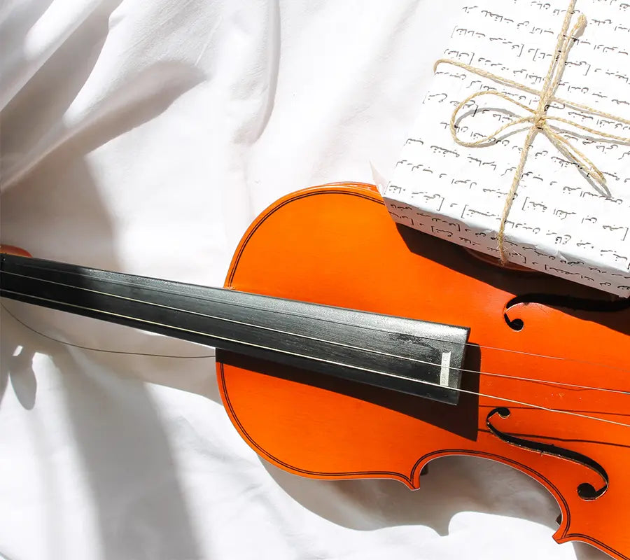 How much does a violin cost? Take a few minutes to easily understand the violin price system