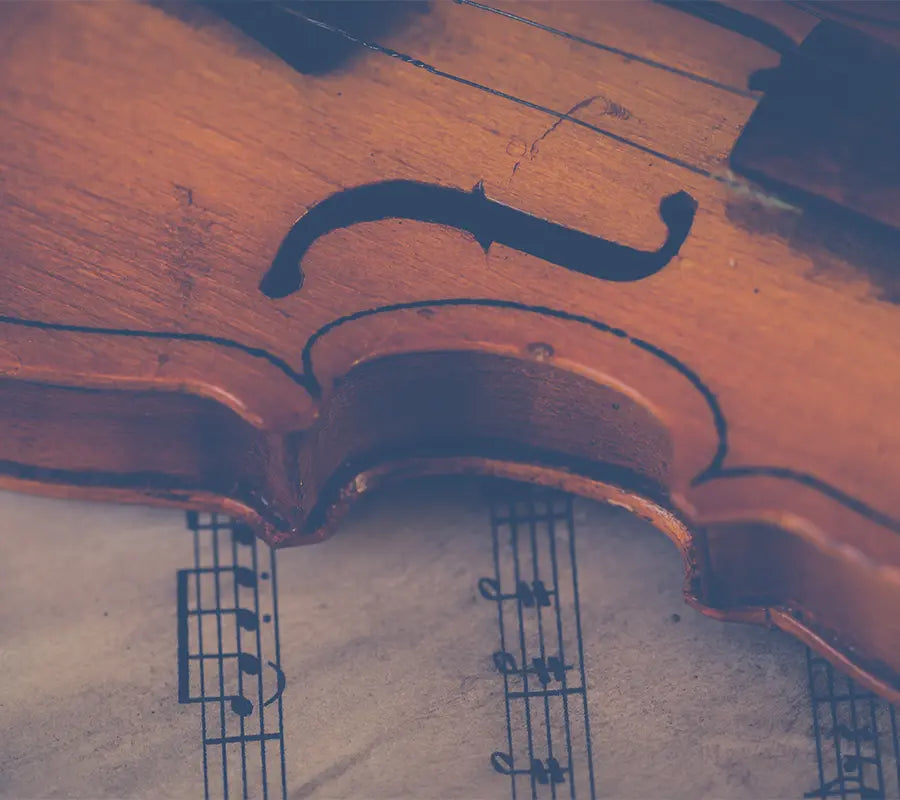 Do you know common types of violins?