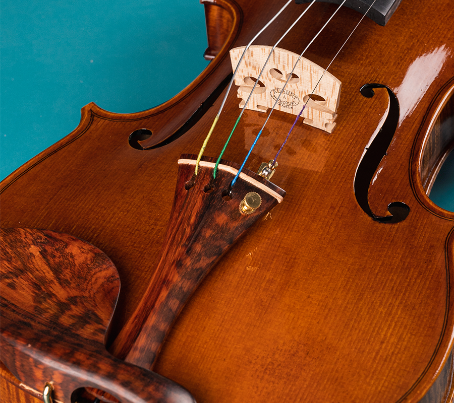 How to Choose Violin Strings for Beginners - The Ultimate Guide for 20 ...
