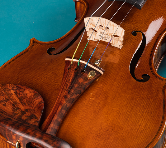 How to Choose Violin Strings-10.21 fiddlover news