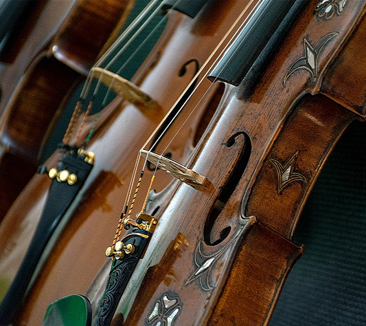 How to Prevent Accidental Violin Damage 11 Essential Care Tips