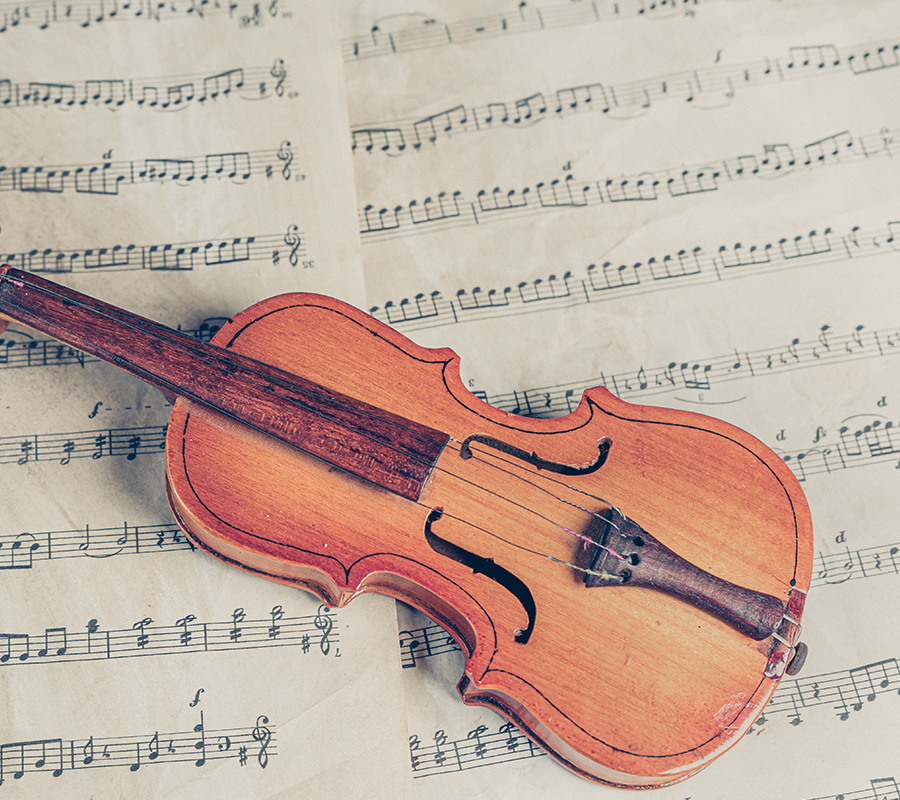 Violin Instrument Sound
