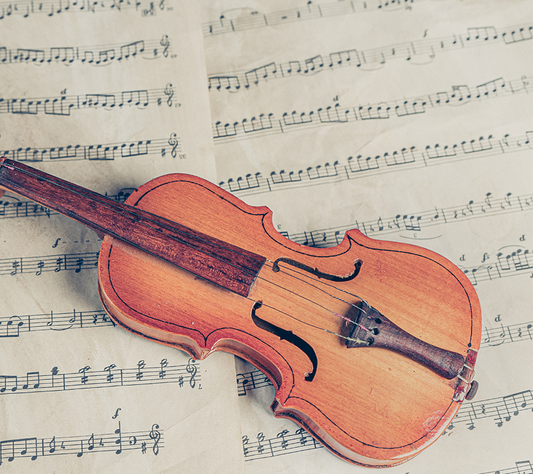 How to appreciate the violin sound-Fiddlover news