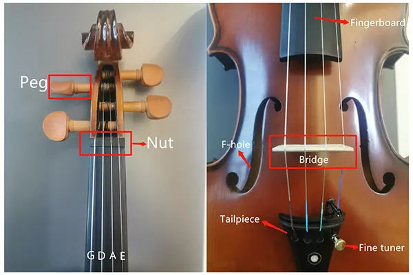 The Best violin Beginner's Guide: Strings, Bridges, and Tuning