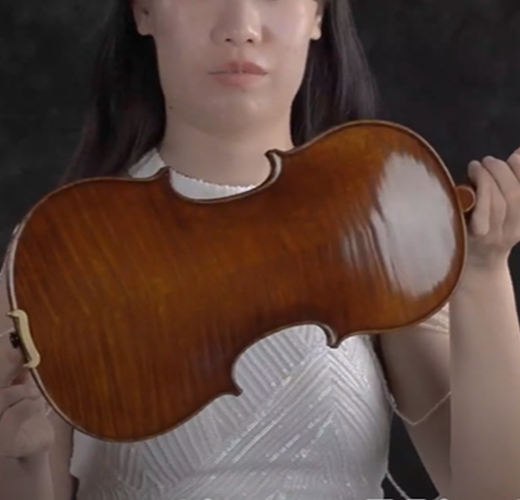 What Can You Get With A $600 Violin?