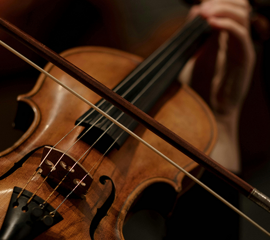 Ten Elements of Superior Violin Sound Quality