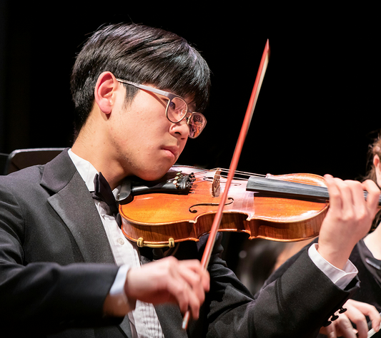 The Common Issues with Violin Bows and Their Solutions