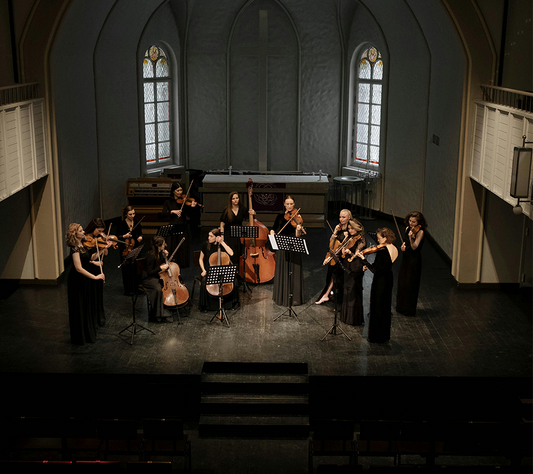 The Role and Status of the Violin in Symphony Orchestras fiddlover violin shop 7.4