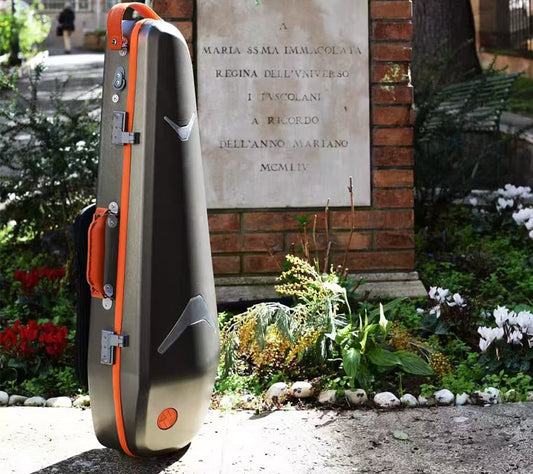 Are Negri Violin Cases Worth It? How to Choose the Right Violin Case
