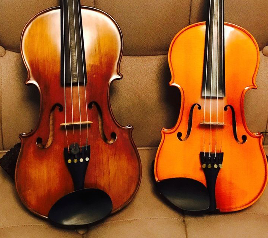 Violin VS Viola for Beginners