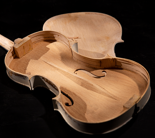 Violin body-fiddlover violin shop news