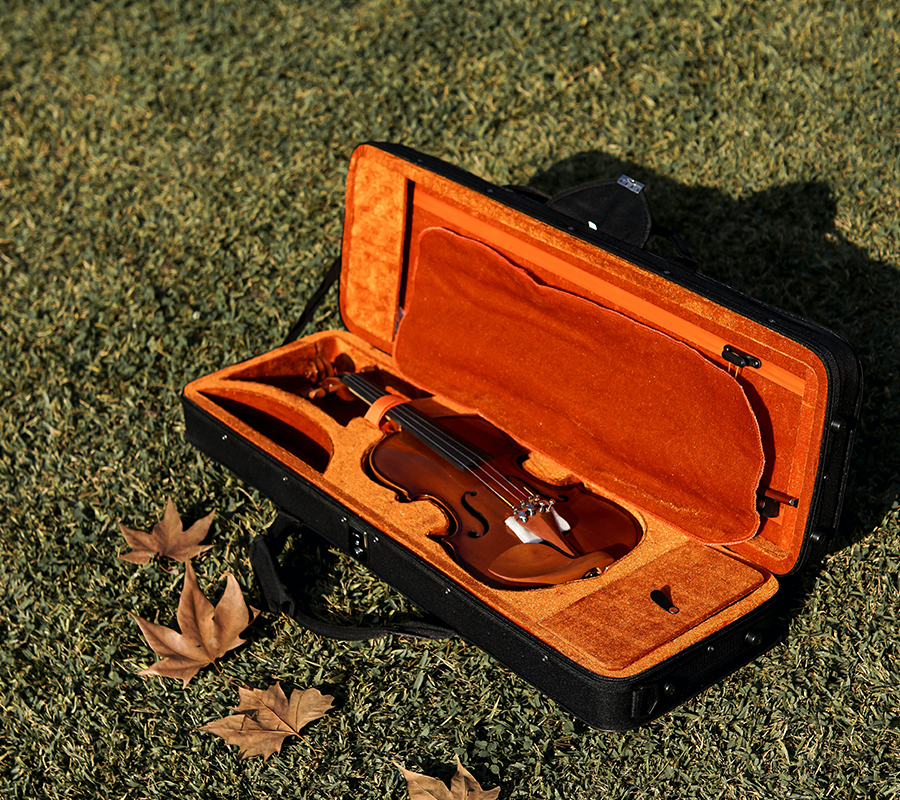 The Bad Effects of Cheap Beginner Violins on Children