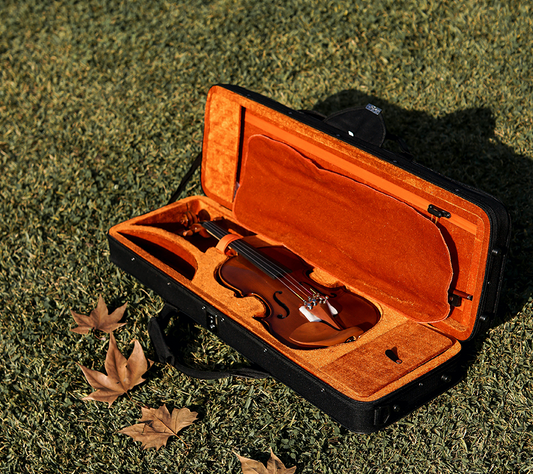 Violin on the grass fiddlover news 5.4