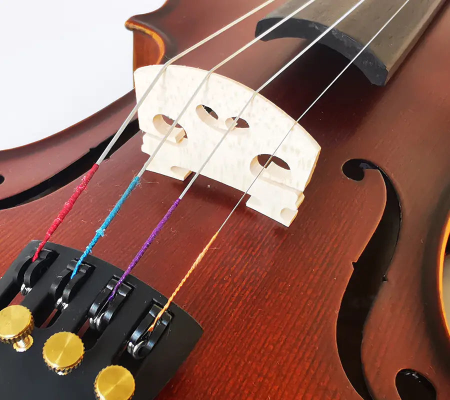 String knowledge that violin beginners must know