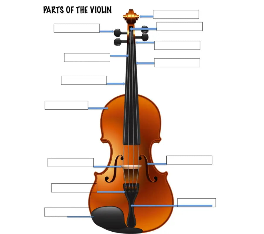 Parts of the violin: Encyclopedia of violin, search by letter