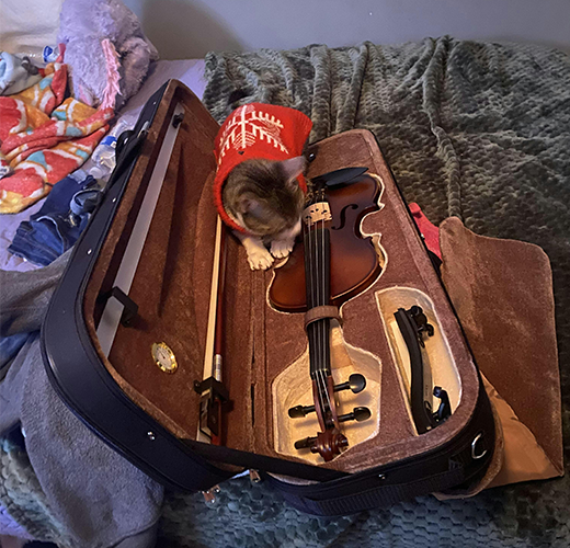 Best 2026 Solid Beginner Violin Outfit Under $300(Ready-to-Play)