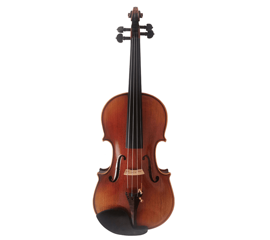 Fiddlover 4/4 Intermediate Violin Outfit L020