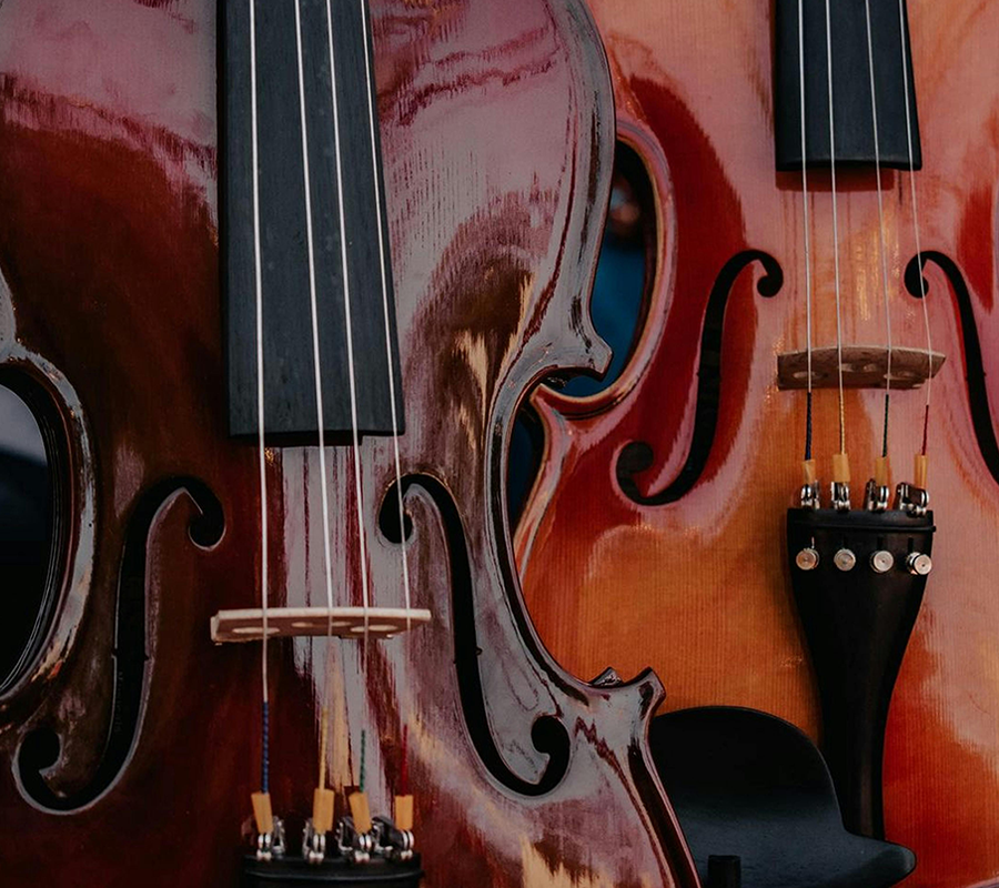 Renowned Musicians' Perspectives on the Differences Between Stradivari and Guarneri Violins