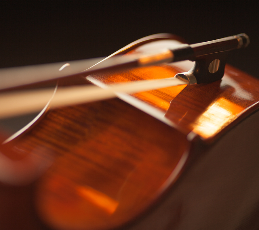 Customized Service Guidelines: Violin & Bow
