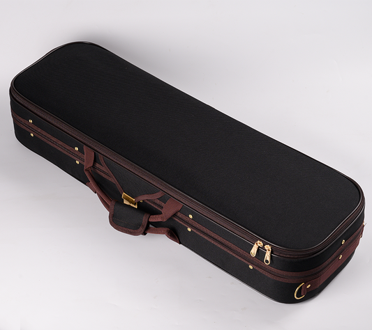 How to Choose a Violin Case