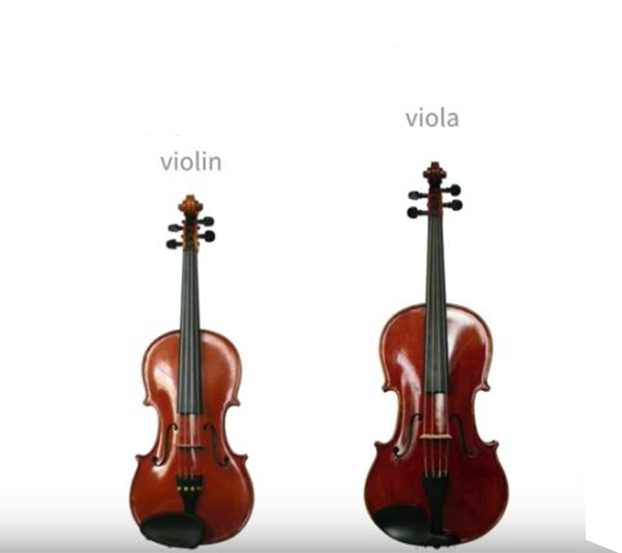 Why Violin is Better Than Viola?