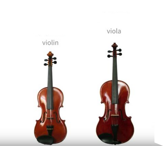 violin vs violin- fiddlover violin shop news 6.30