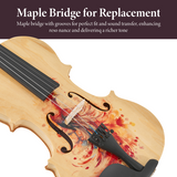 Full-Size Phoenix Carved Violin Outfit for Beginners & Artistic Performances-2