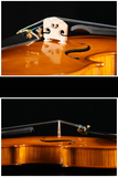 Fiddlover Full Size Apprentice Violin Outfit Q015-4