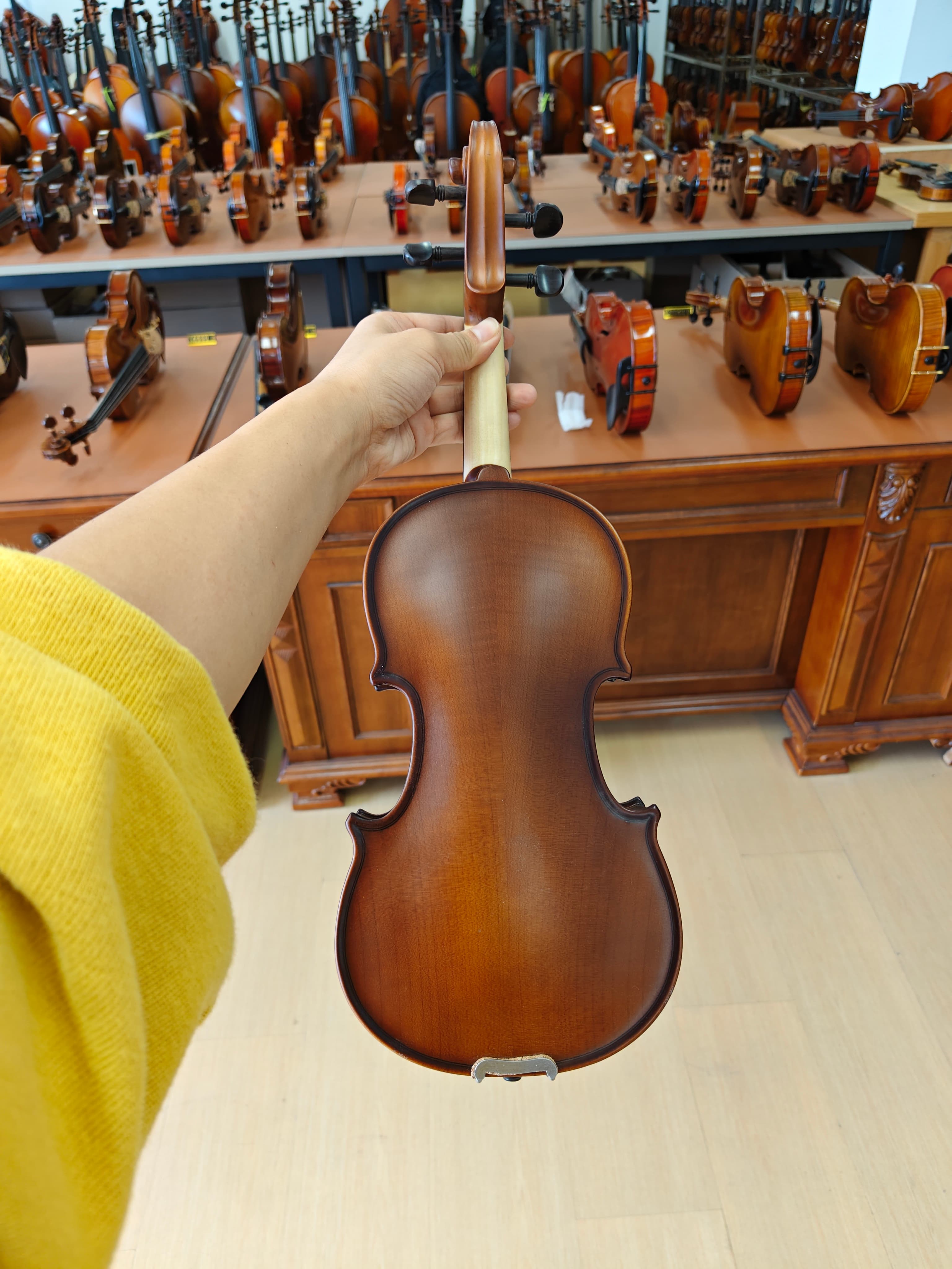 Fiddlover Entry-Level Viola Outfit VQ2 – Ready to Play