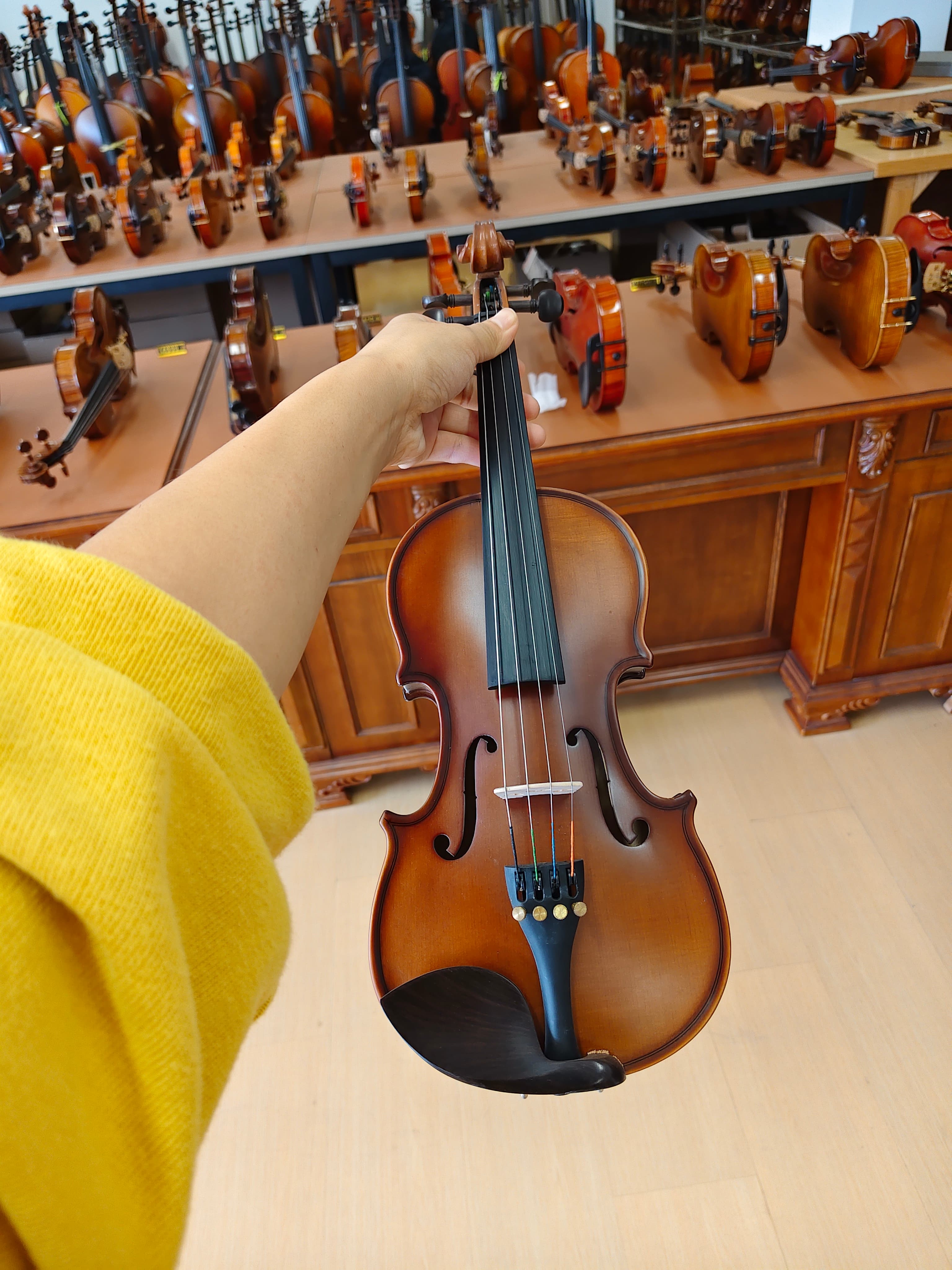 Fiddlover Entry-Level Viola Outfit VQ2 – Ready to Play