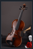 Full Size 4/4 intermediate violin outfit-2
