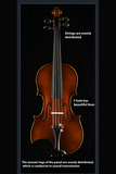 Full Size 4/4 intermediate violin outfit-4