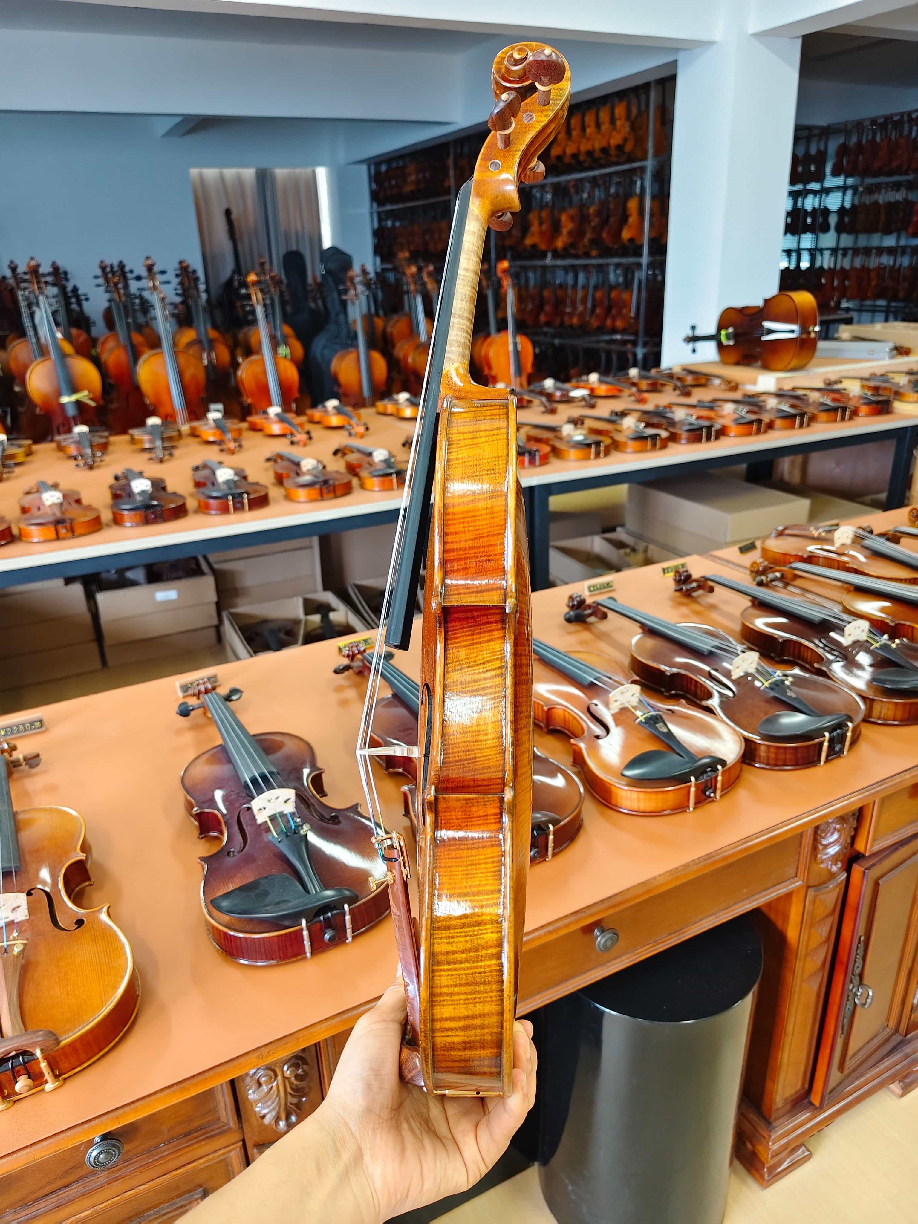 Fiddlover Intermediate Violin Outfit Q004