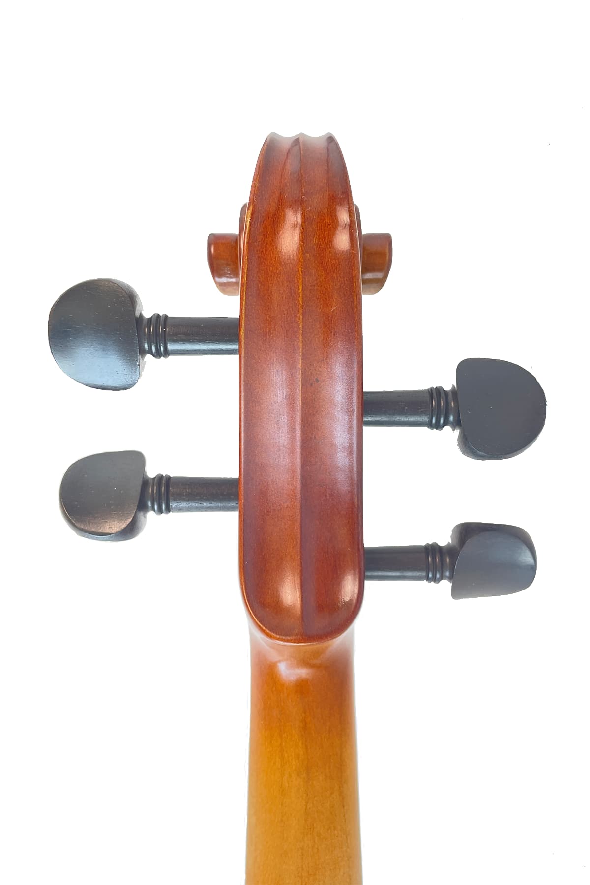 Fiddlover Student Violin Kit L005, Maple & Spruce with Ebony Fittings
