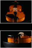 Fiddlover Full Size Apprentice Violin Outfit Q015-5