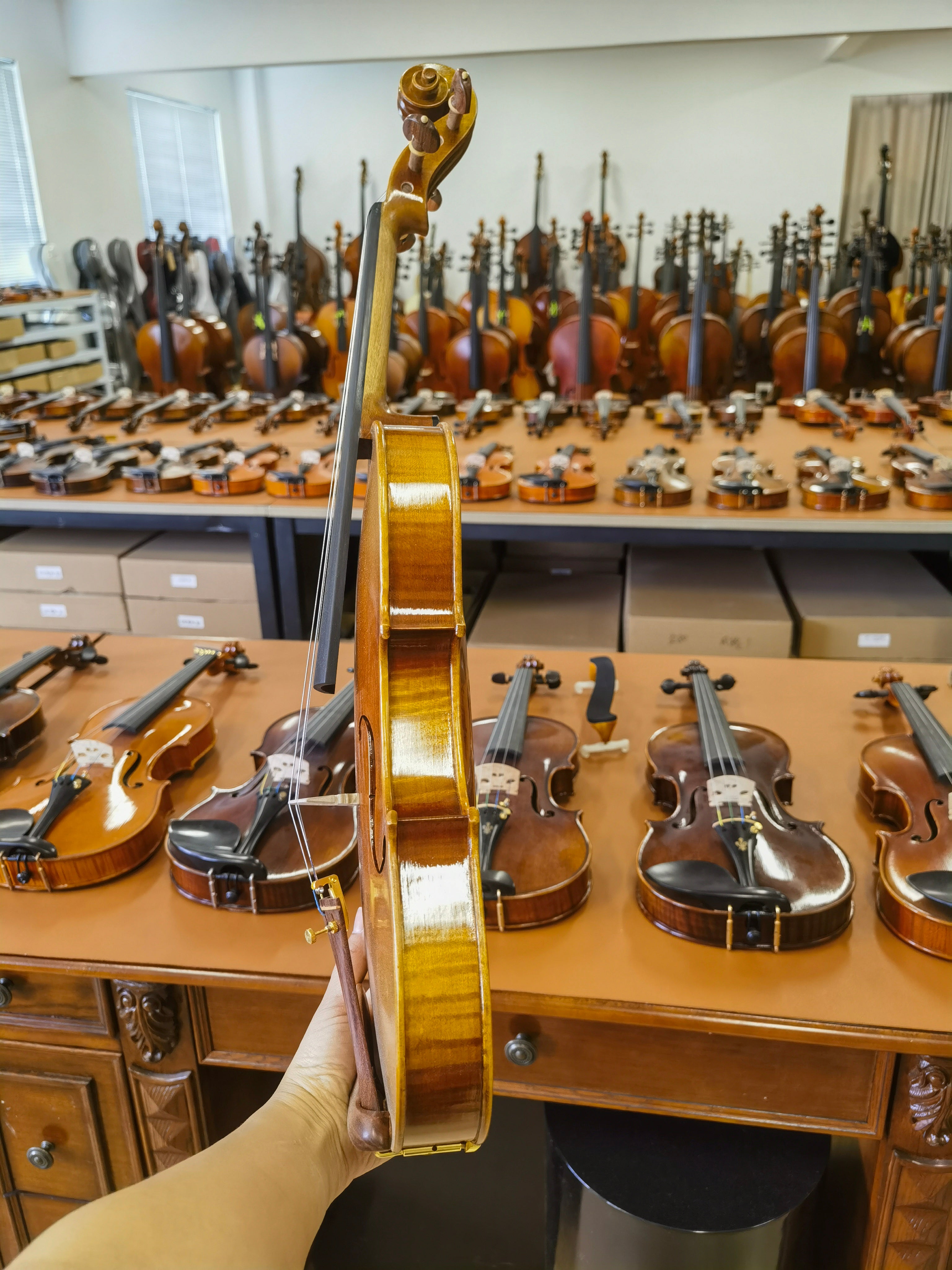 Fiddlover Intermediate Violin Outfit Q004