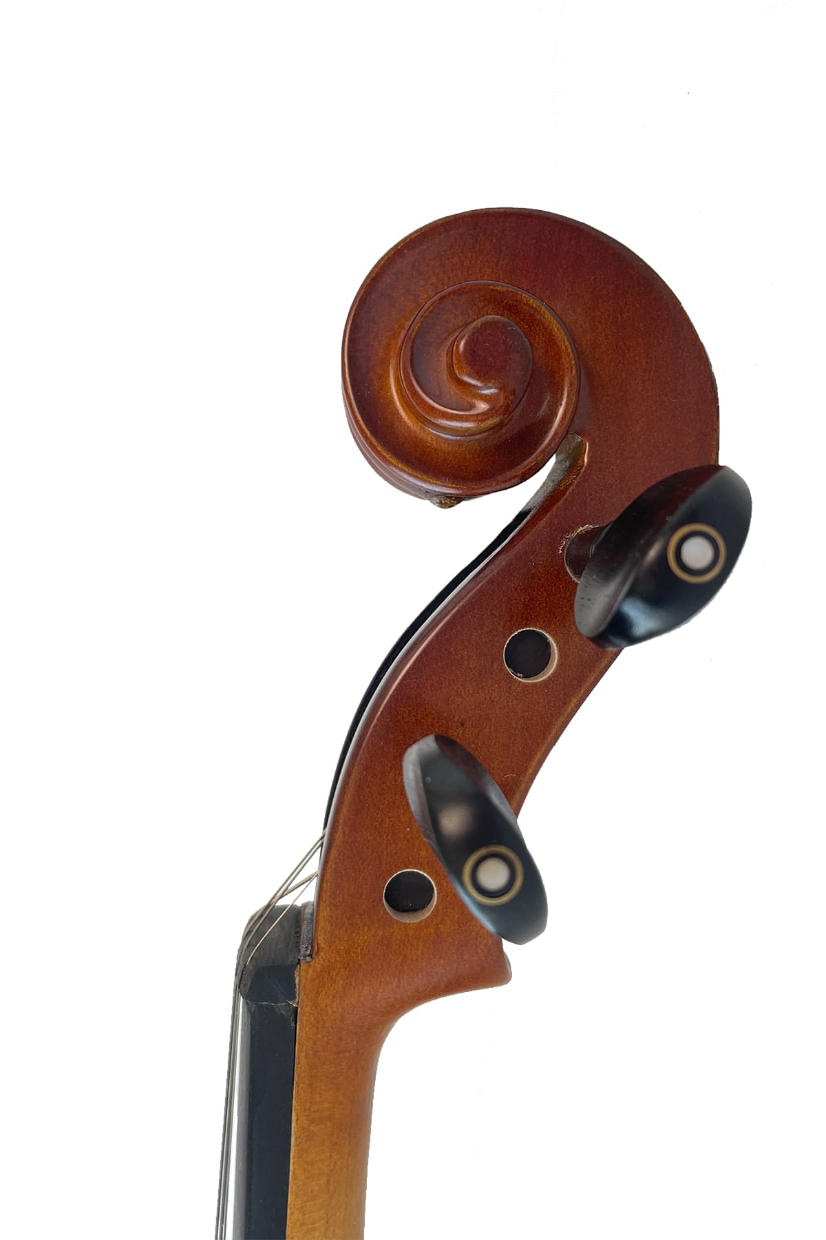 Fiddlover Student Violin Kit L005, Maple & Spruce with Ebony Fittings