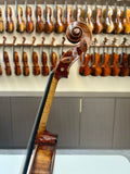 Fiddlover Premium Cannone 1743 Violin CR7004 6