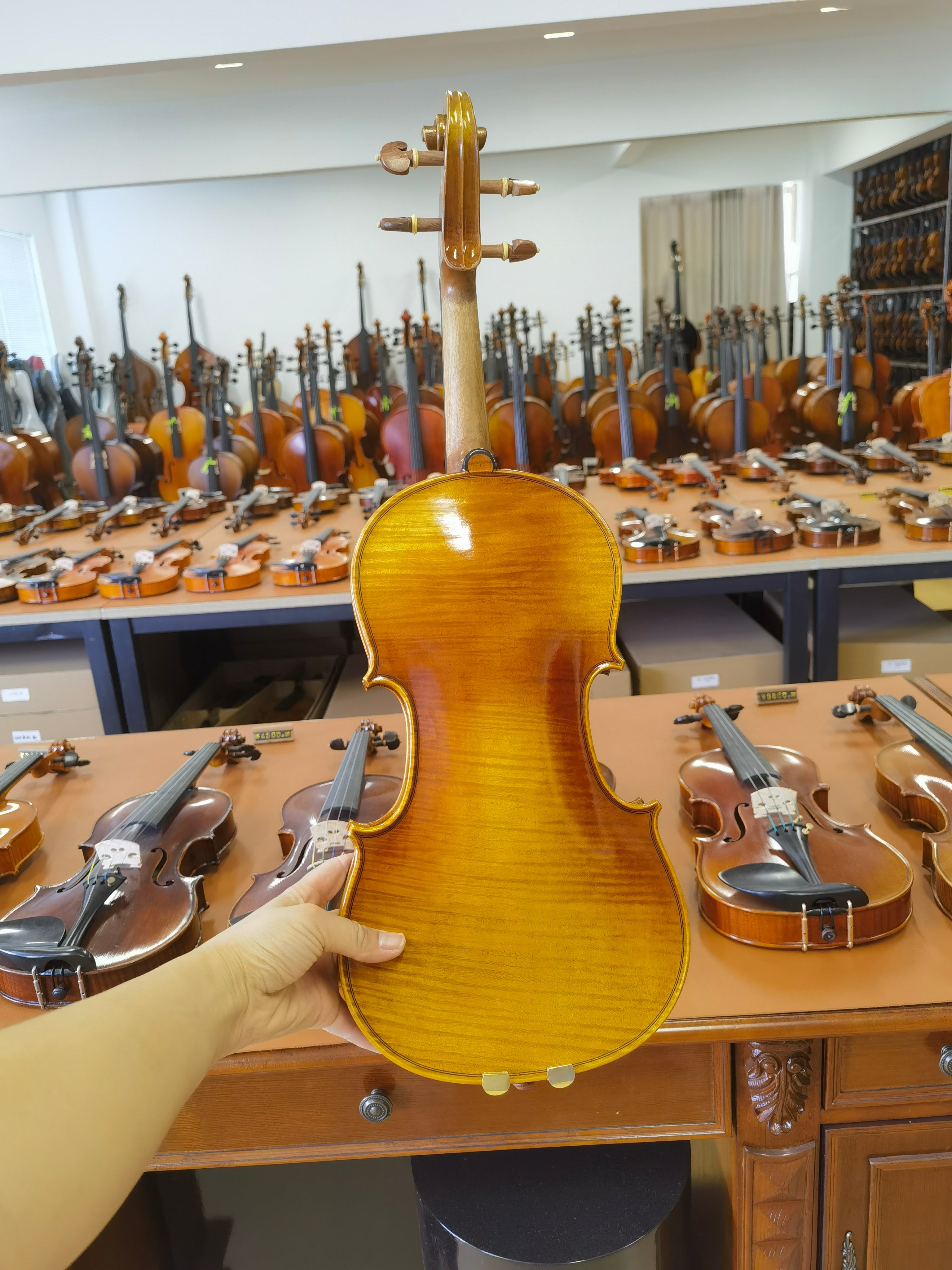 Fiddlover Intermediate Violin Outfit Q004