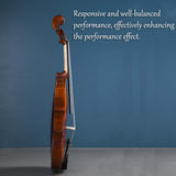Best Value Q033 Beginner Violin Outfit | High Performance, Low Cost