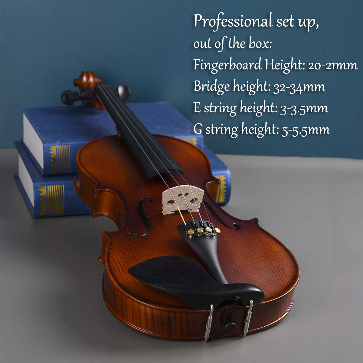 Best Value Q033 Beginner Violin Outfit | High Performance, Low Cost