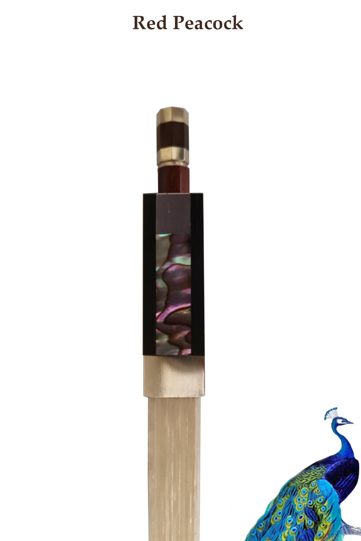 Brazilwood Violin Bow Peacock Carved Frog Elegant Quality B202