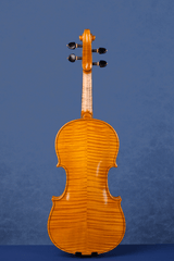 Concert Violin Outfit L029-2