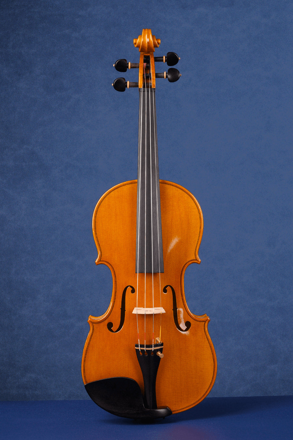 Concert Intermediate Violin Outfit L029 | Unique Golden Finish